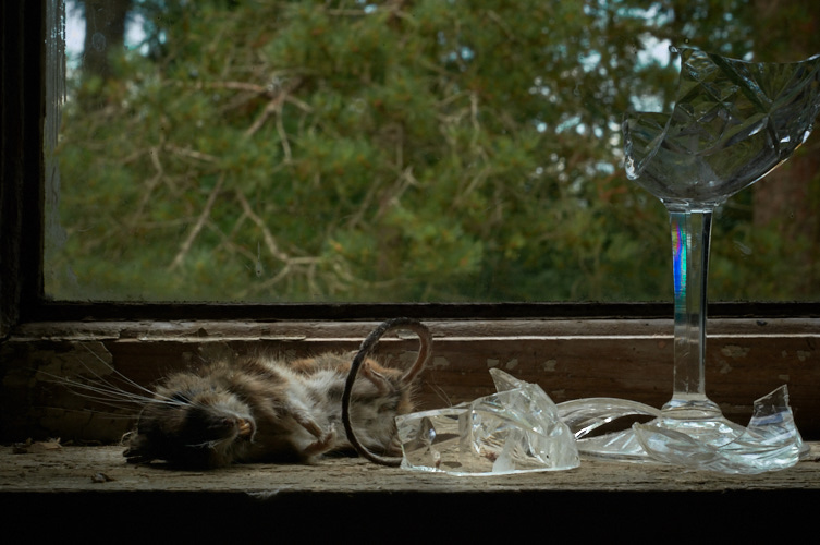 Death and the mouse&nbsp;1