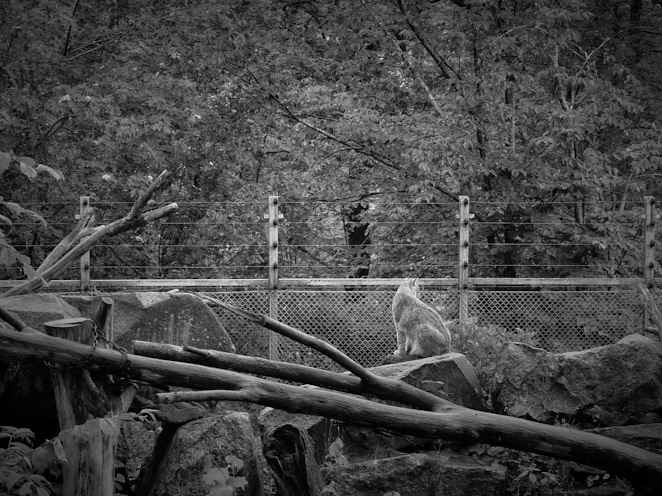 Realities 20 Jun 2015