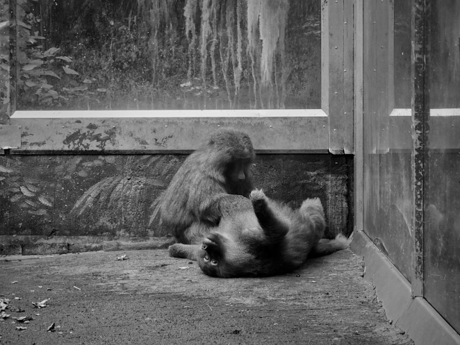 Untitled 20 Jun 2015