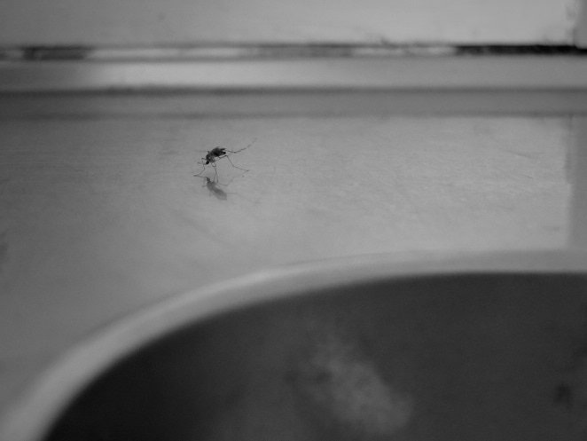 Photography 18 Jul 2015