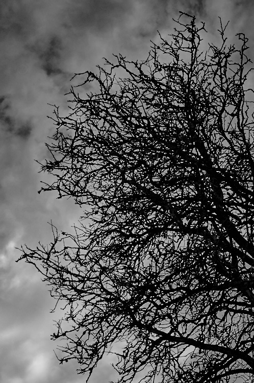 overcast-4-apr-2015-2