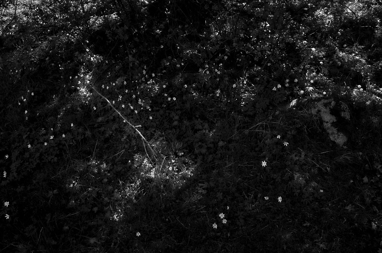 passage-3-maj-2015-1