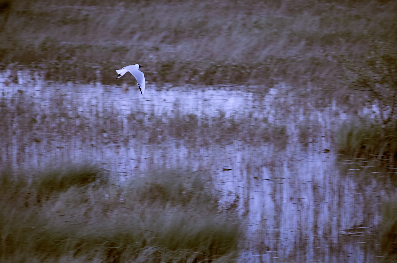 waterland-iv-7-jun-2015