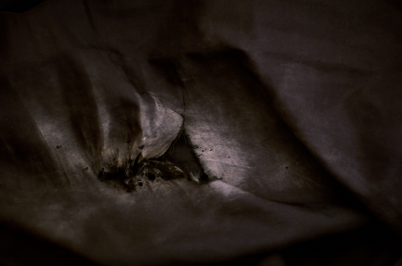 wound-ii-11-apr-2015