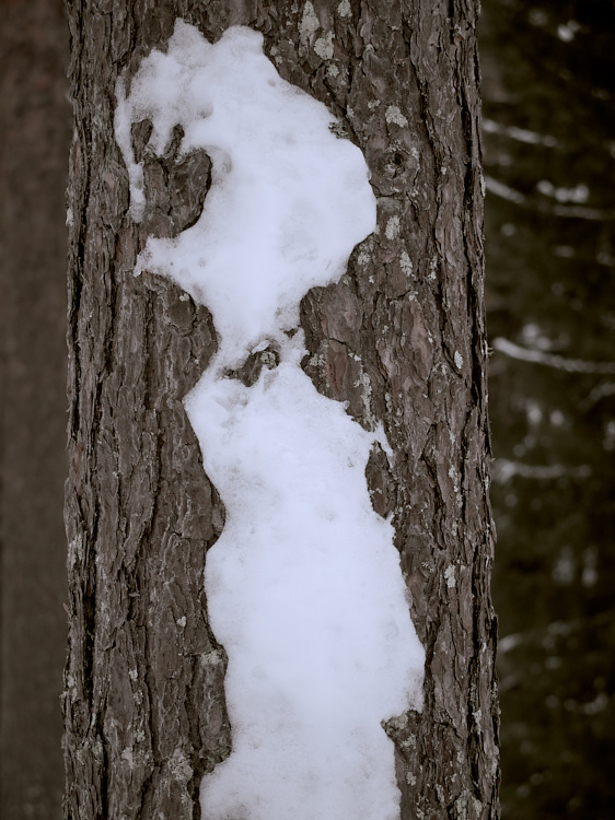 shout-04-mars-2016-dscf828400623