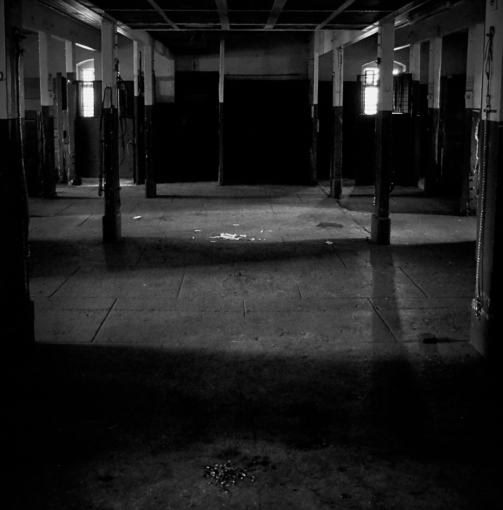 Black Stable 11 juni 2016