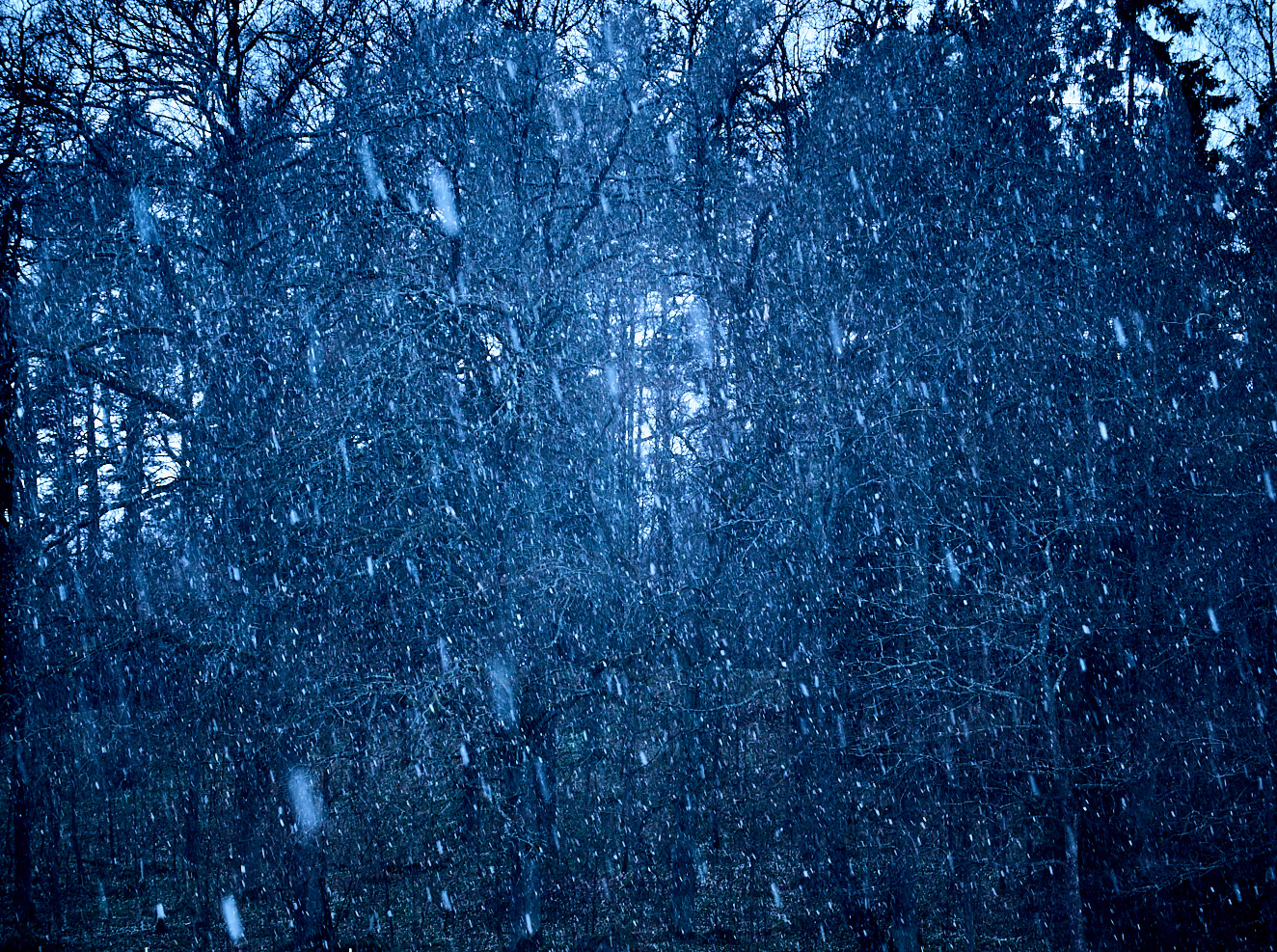 snowfall-24-april-2016