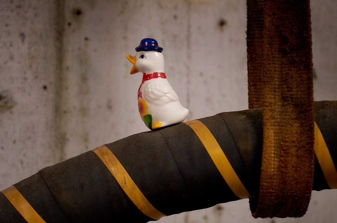 Duck tales 4 april 2014