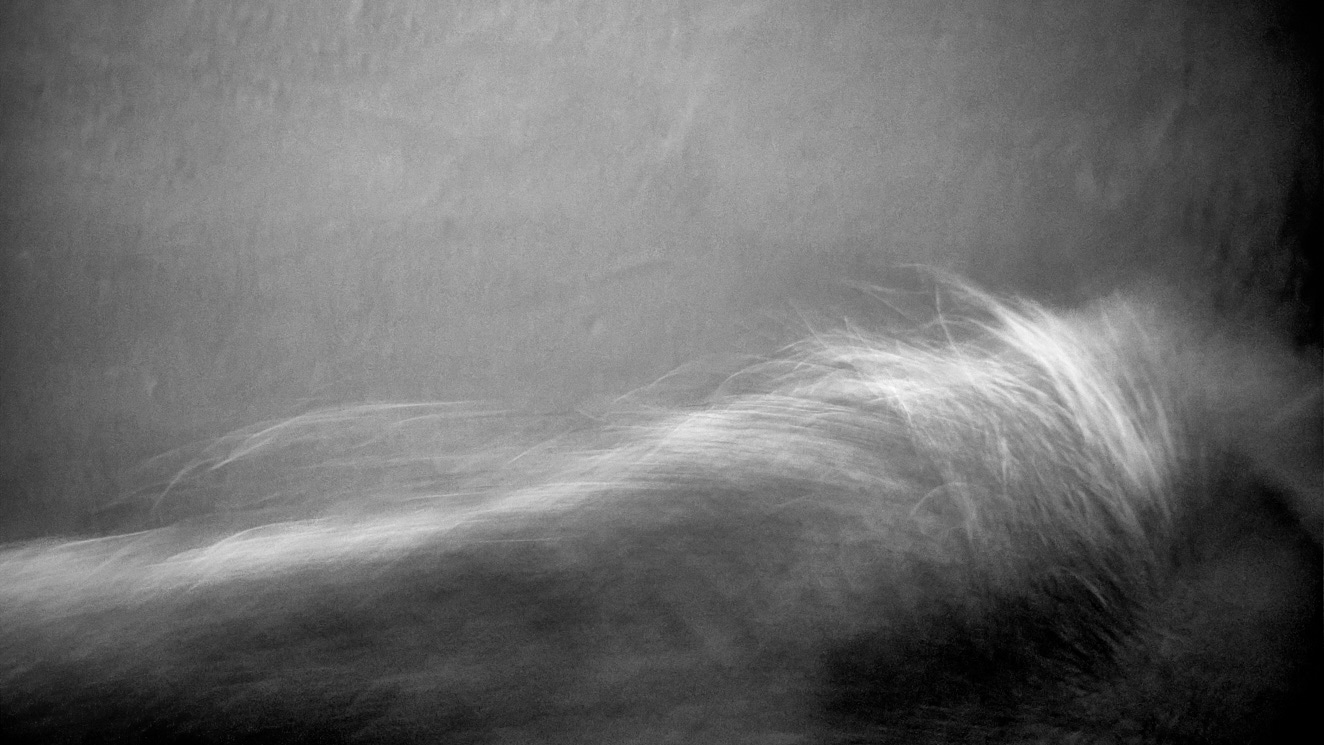 Mindfulness-4 5 oktober 2014