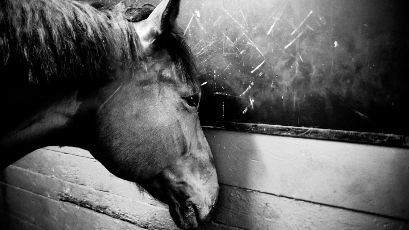 Mindfulness-8 2 juni 2015