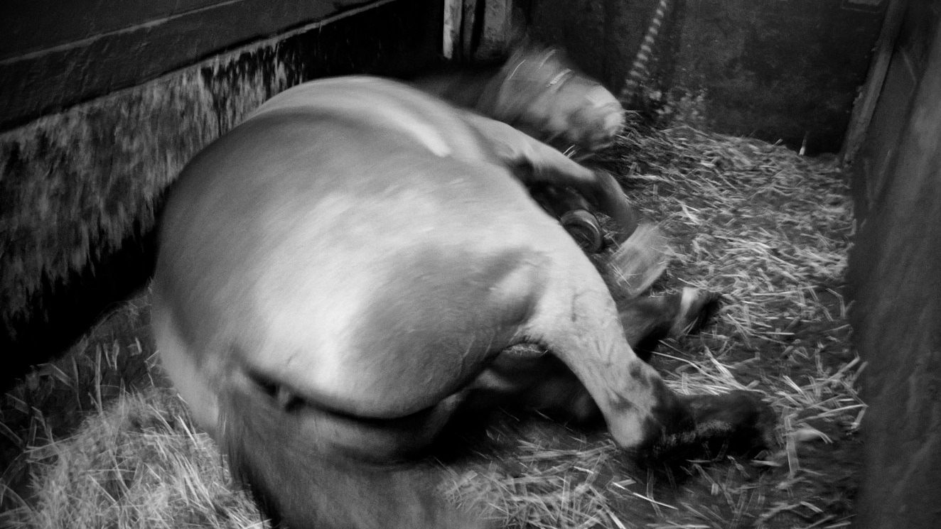 Mindfulness-9 23 augusti 2015