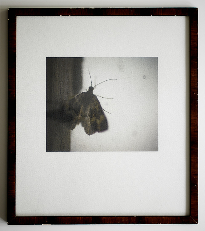 On Liberty I 8 augusti 2017