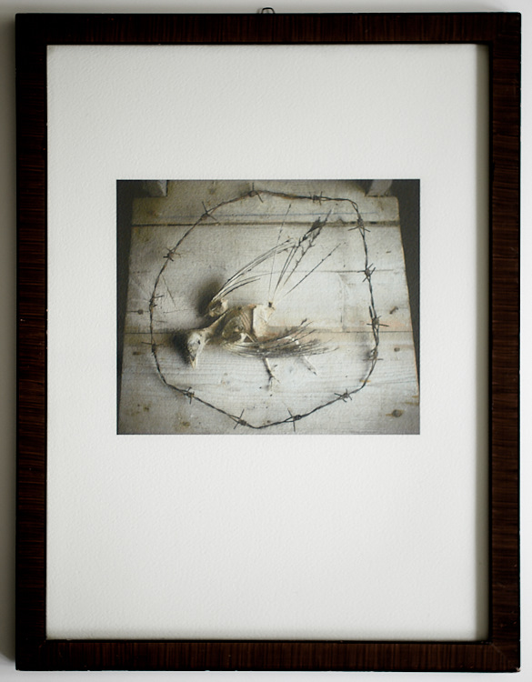 On Liberty II 8 augusti 2017