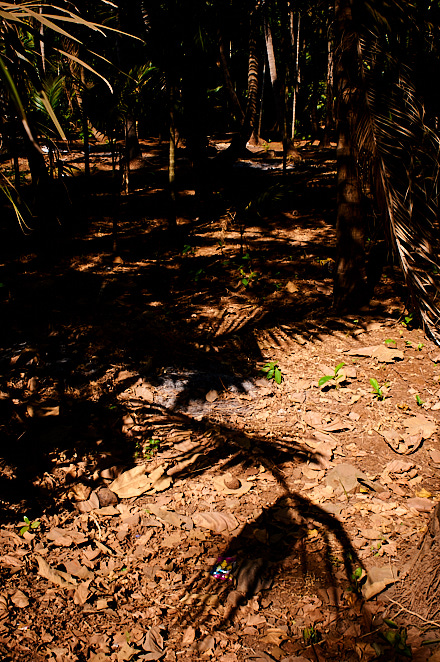 Maharashtra 8 januari 2017 4