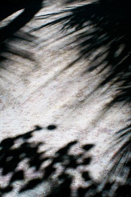 Maharashtra 10 januari 2017 20