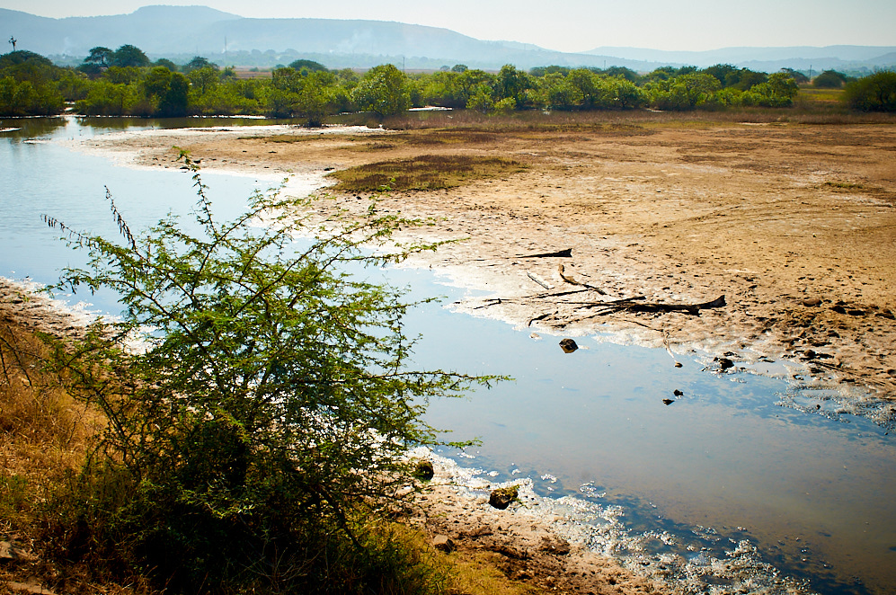 Maharashtra 8 januari 2017 2