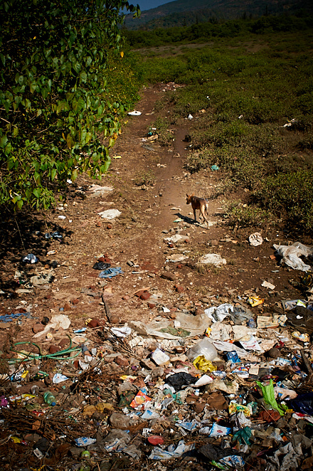 Maharashtra 8 januari 2017 3