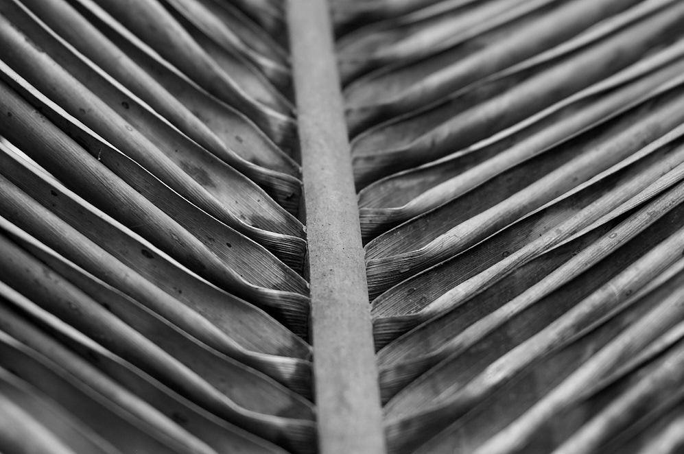 Maharashtra 9 januari 2017 13