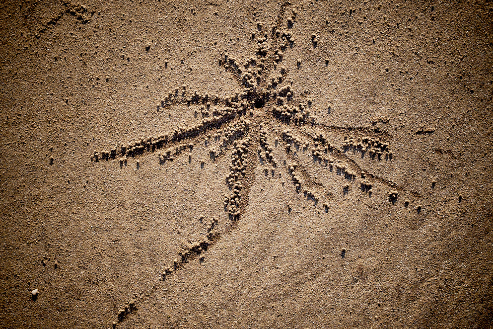 Maharashtra 7 januari 2017 5