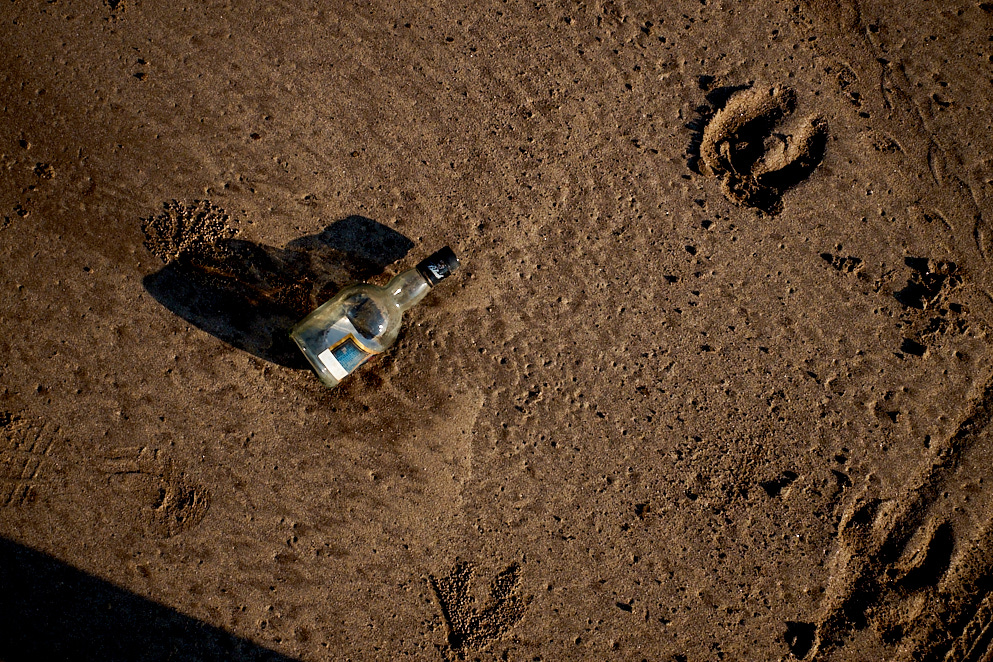 Maharashtra 7 januari 2017 6