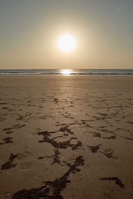 Maharashtra 9 januari 2017 32.jpg