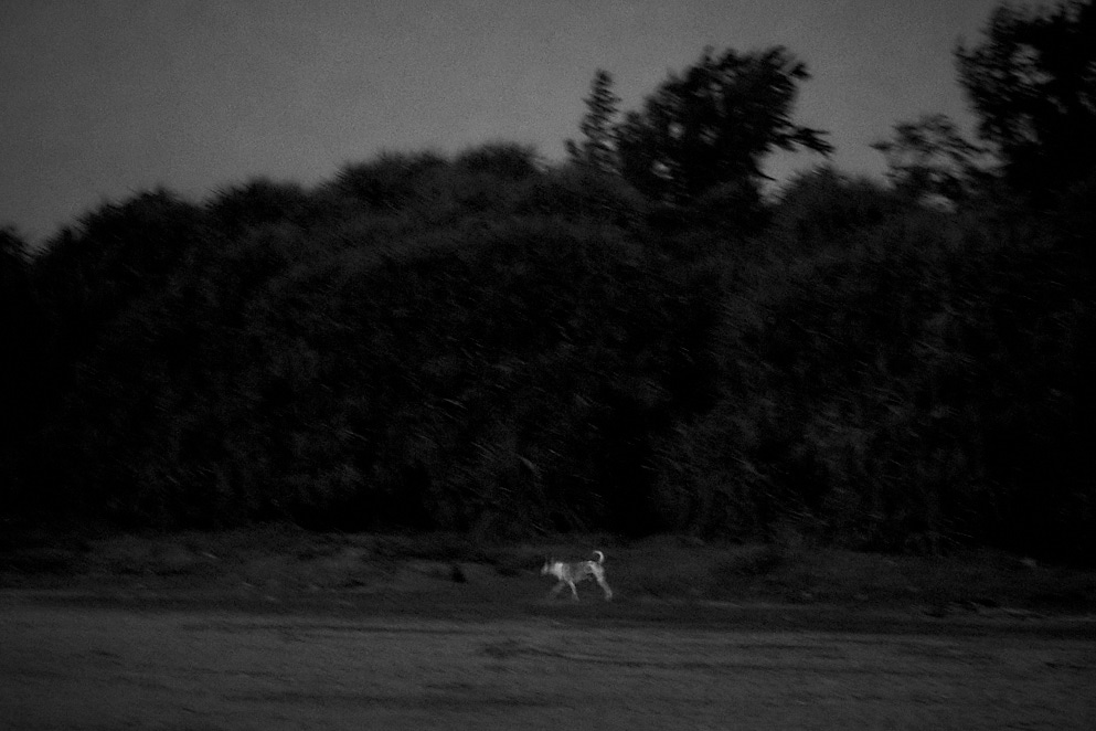 Maharashtra 9 januari 2017 40