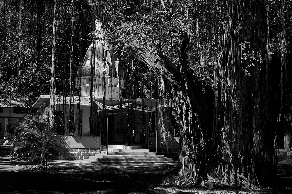 Maharashtra 10 januari 2017 16