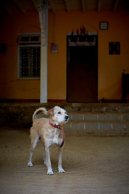 Maharashtra 10 januari 2017 29