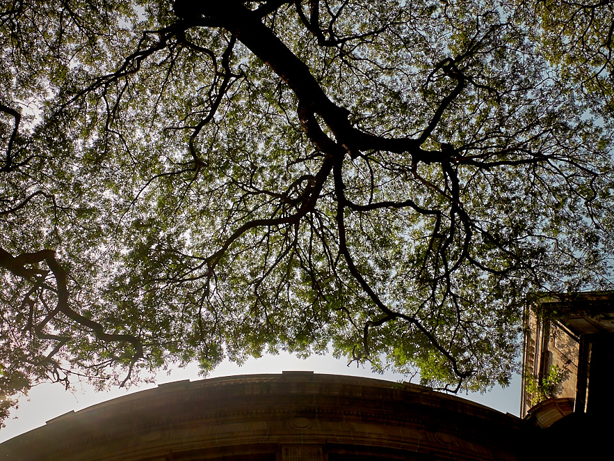 Mumbai 12 januari 2017 7.jpg