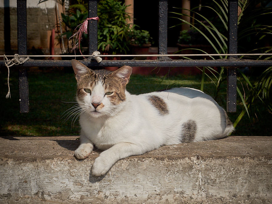 Mumbai 13 januari 2017 5