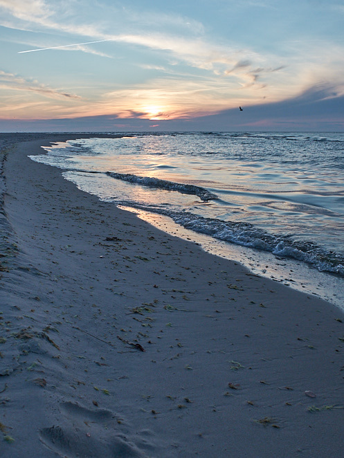 Beach 19 augusti 2017 1