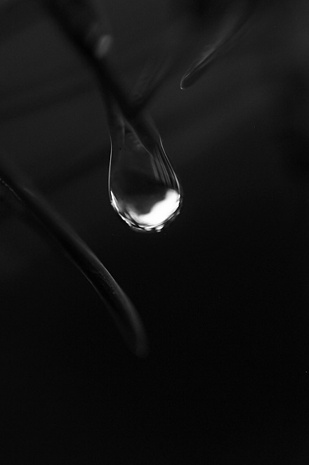 Nature 21 juli 2017 1