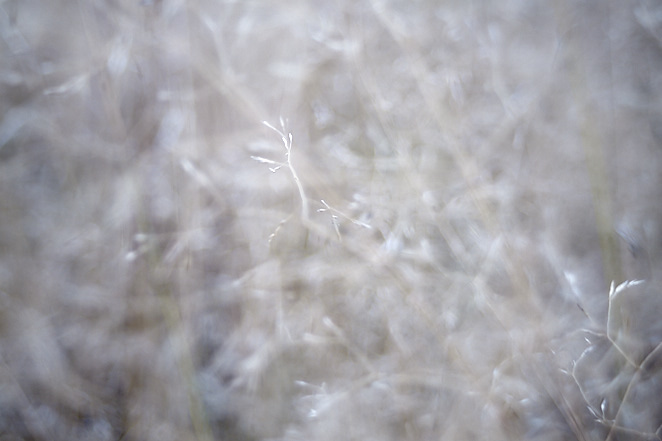 Various 4 november 2017 1