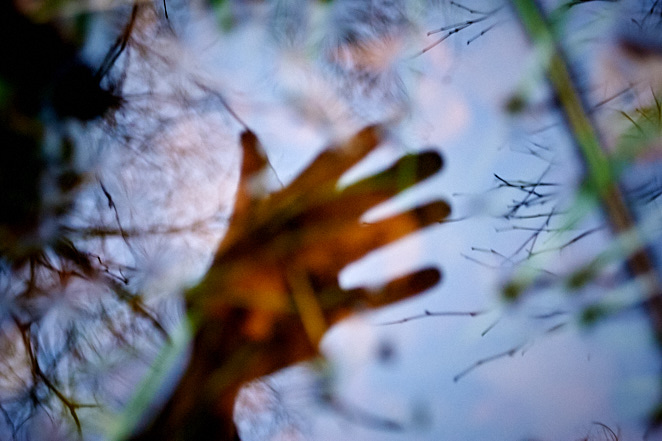 Various 4 november 2017 4