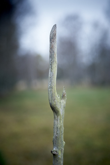 Various 4 november 2017