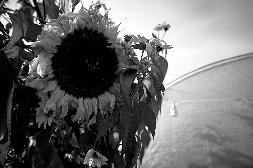 A walk 29 sep 2018 1