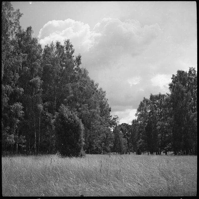 Landscape 15 aug 2019 1