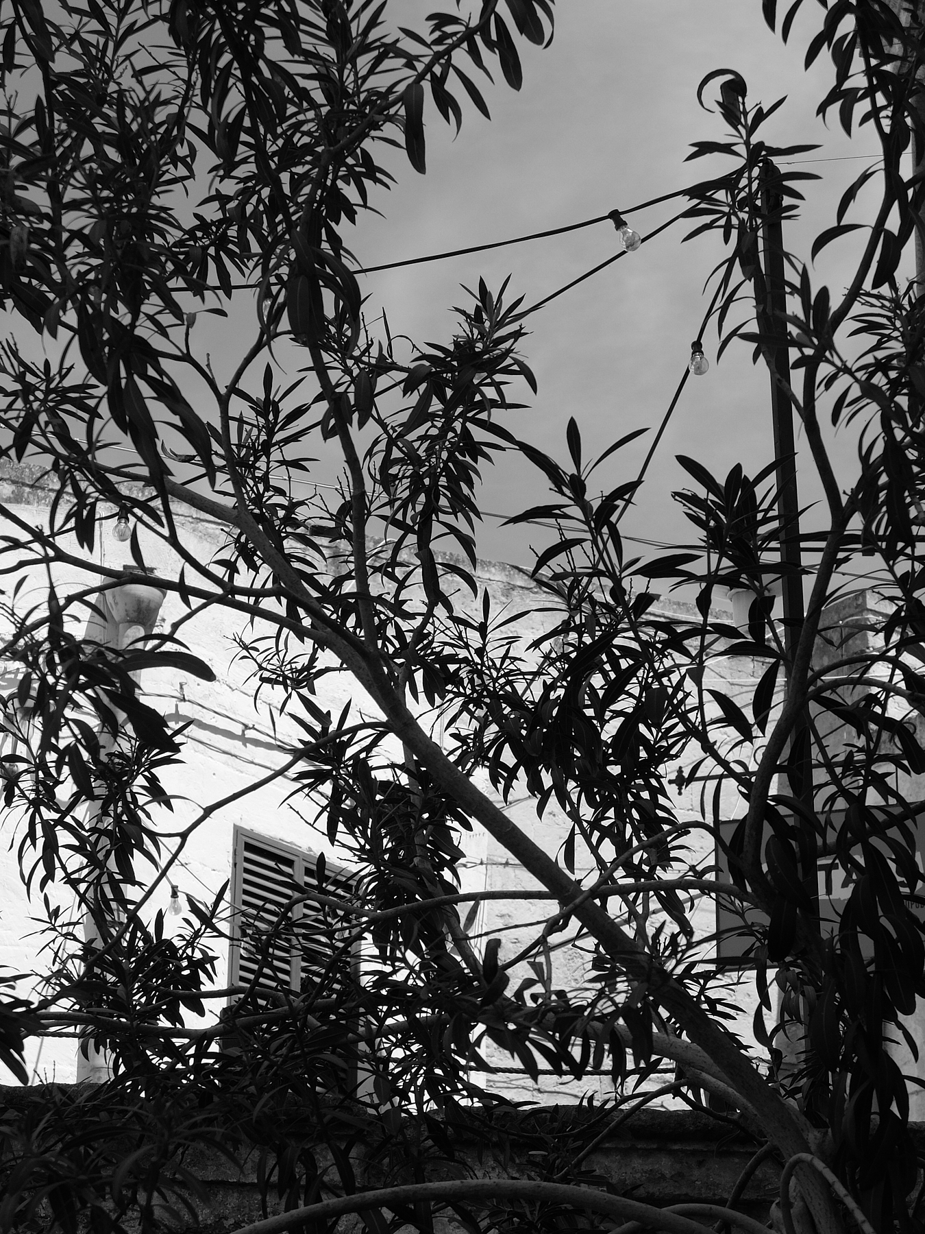 Matera day 3 08 maj 2019 1